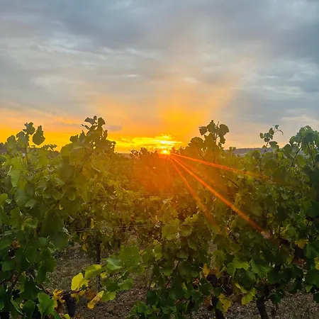 Da Toni Giuliano Apartment Ruedesheim am Rhein