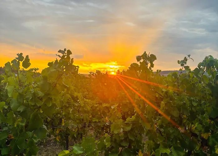 Da Toni Giuliano Appartement Rüdesheim am Rhein